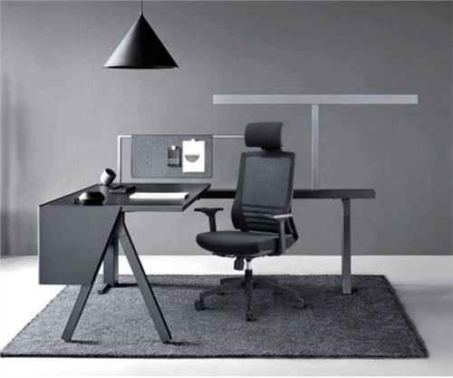 Profesionāls biroja priekšsēdētājs